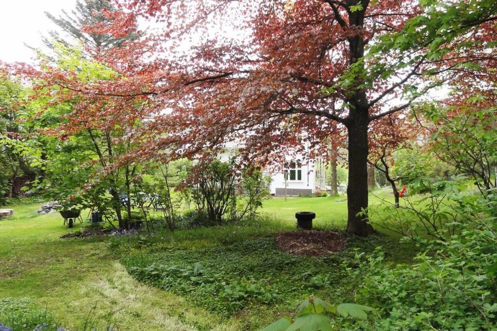 Charming Flat In Cosy Farmhouse Skudeneshavn Extérieur photo